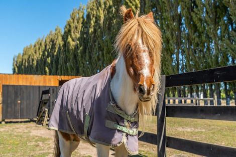 Photo of property in 645 Tancreds Road, Lincoln, Christchurch, 7676