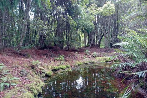 Photo of property in 1 Hurren Place West, Kumara Junction, Hokitika, 7882