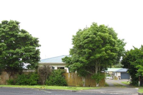 Photo of property in 42 Dublin Street, Pukekohe, 2120