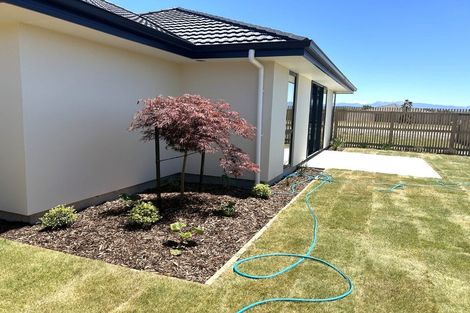 Photo of property in 19 Rubus Street, Appleby, Richmond, 7020