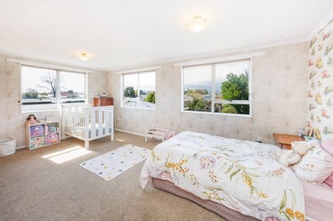 Photo of property in 236 Tremaine Avenue, Highbury, Palmerston North, 4412
