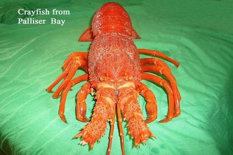 Photo of property in 59 Ocean Beach Road, Tairua, 3508