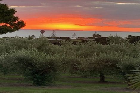 Photo of property in 478 Hihi Road, Hihi, Mangonui, 0494