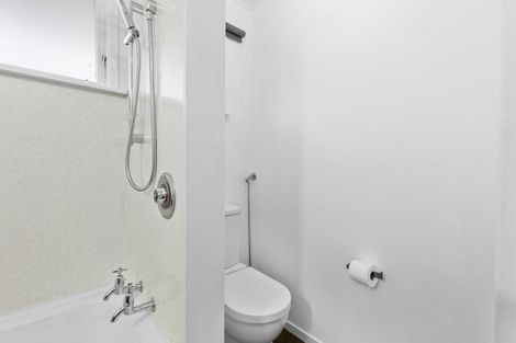 Photo of property in 50 Windsor Street, Terrace End, Palmerston North, 4410