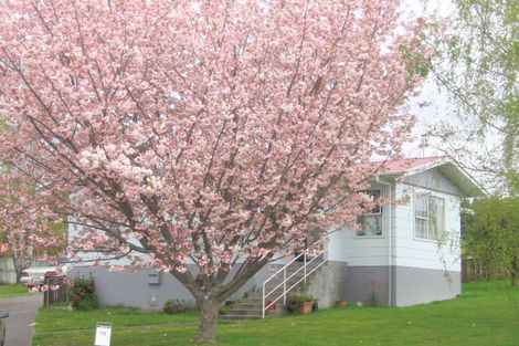 Photo of property in 73 Marshall Avenue, Richmond Heights, Taupo, 3330