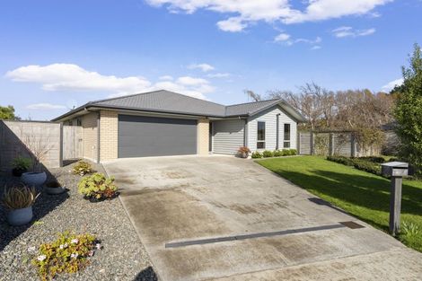 Photo of property in 12 Dow Chung Place, Otaki, 5512