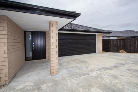 Photo of property in 41 Ladeira Place, Fitzroy, Hamilton, 3206