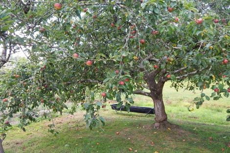 Photo of property in 2326 State Highway 69, Inangahua, Reefton, 7895