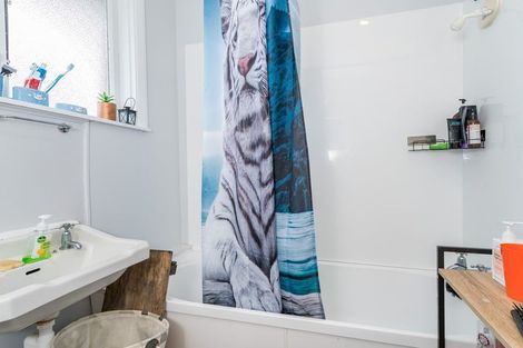 Photo of property in 17 Nairn Street, Mosgiel, 9024