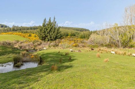 Photo of property in 948 Dipton Mossburn Road, Castle Downs, Dipton, 9791