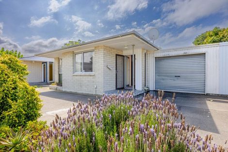 Photo of property in 2/163 Nelson Crescent, Napier South, Napier, 4110
