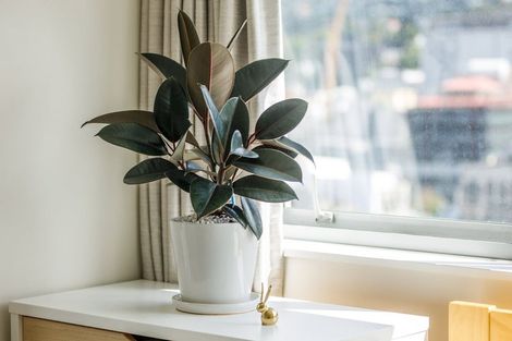 Photo of property in Soho Apartments, 1221/74 Taranaki Street, Te Aro, Wellington, 6011