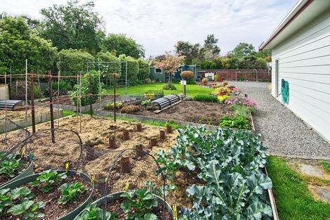 Photo of property in 115 Cockburn Street, Kuripuni, Masterton, 5810