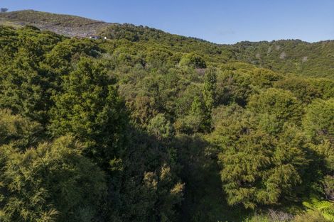 Photo of property in 42 Radar Road, Hot Water Beach, Whitianga, 3591