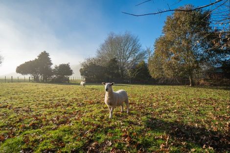 Photo of property in 143 State Highway 32, Whakamaru, Mangakino, 3492