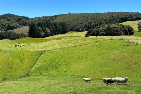 Photo of property in 400a Paradise Valley Road, Ngongotaha Valley, Rotorua, 3072