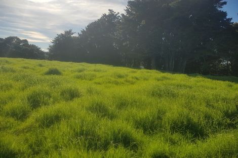 Photo of property in 725 Golden Stairs Road, Mareretu, Maungaturoto, 0589