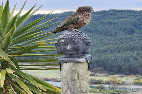 Photo of property in 990 Motueka River West Bank Road, Motueka Valley, Motueka, 7196