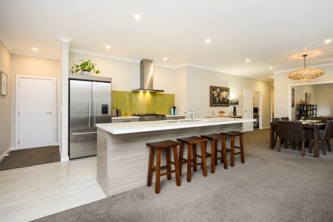 Photo of property in 5 Heritage Place, Terrace End, Palmerston North, 4410