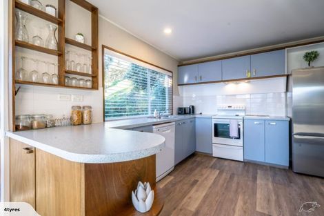 Photo of property in 95 Mcdougall Street, Wanaka, 9305