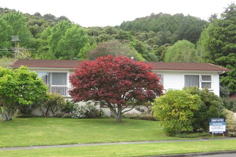Photo of property in 53 Seddon Crescent, Whataupoko, Gisborne, 4010