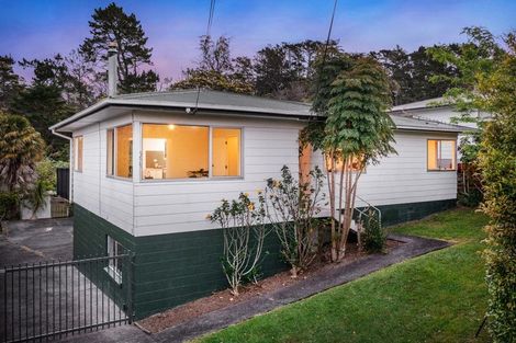 Photo of property in 69 Pine Avenue, Henderson, Auckland, 0612