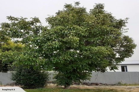 Photo of property in 13 Hunter Crescent, Twizel, 7901