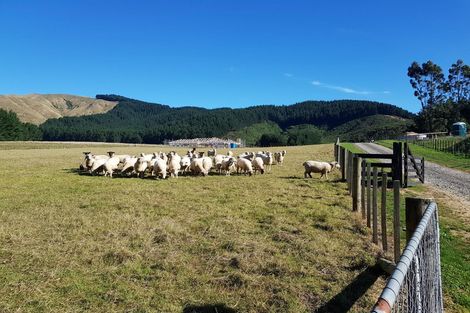 Photo of property in 210 Potts Road, Koputaroa, Levin, 5571