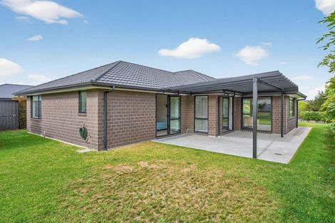 Photo of property in 36 Marram Place, Mangawhai Heads, Mangawhai, 0505
