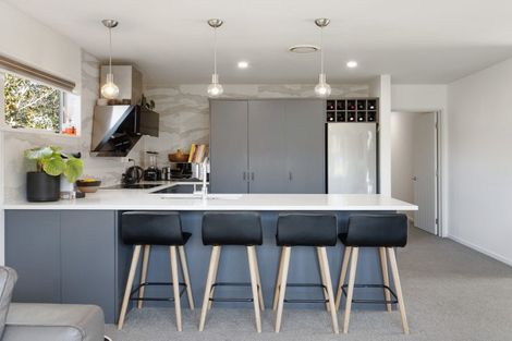 Photo of property in 9 Falconridge Place, Shirley, Christchurch, 8061