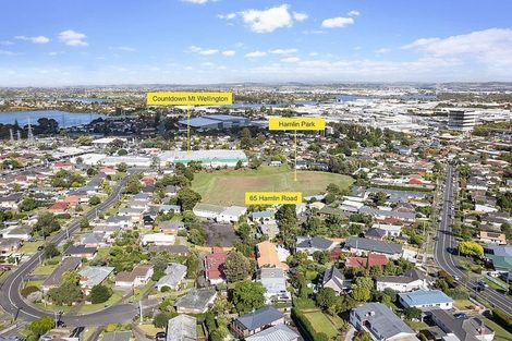 Photo of property in 65 Hamlin Road, Mount Wellington, Auckland, 1060