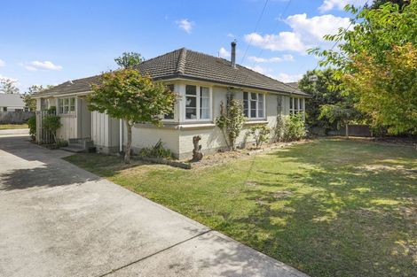 Photo of property in 43 Joy Street, Shirley, Christchurch, 8061