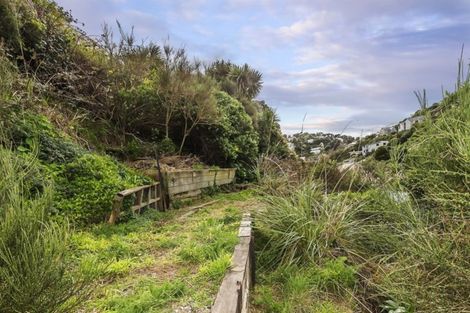 Photo of property in 54 Liardet Street, Vogeltown, Wellington, 6021