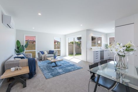 Photo of property in 29c Talbot Street, Richmond, 7020