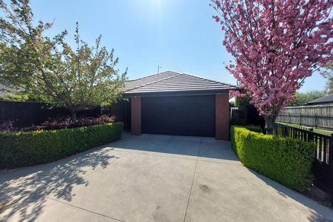 Photo of property in 19 Mcdermott Place, Halswell, Christchurch, 8025