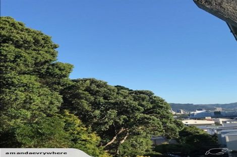 Photo of property in 16 Russell Terrace, Newtown, Wellington, 6021