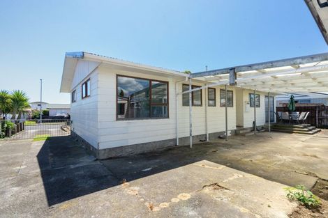 Photo of property in 33 Solway Street, Levin, 5510