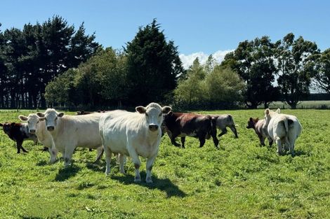 Photo of property in 693 Ryal Bush Wallacetown Road, Wallacetown, Invercargill, 9874