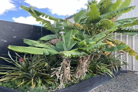 Photo of property in Dunkerron Farm, 852 Oneriri Road, Kaiwaka, 0573