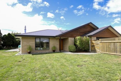 Photo of property in 38a Fulton Street, Springlands, Blenheim, 7201