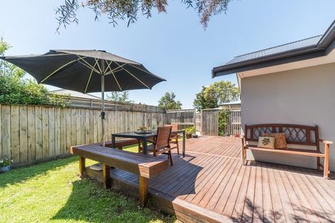 Photo of property in 33a Windsor Street, Terrace End, Palmerston North, 4410