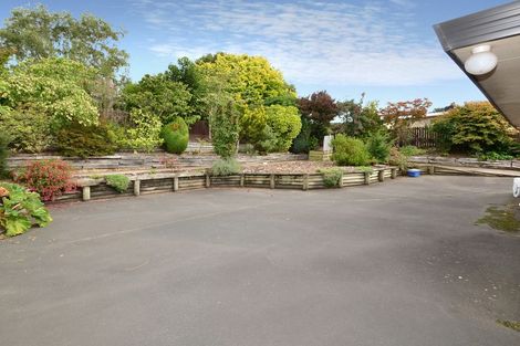 Photo of property in 16 Park Lane, Fairfield, Dunedin, 9018