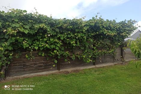 Photo of property in 45 Johnson Street, Milton, 9220