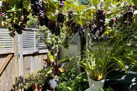 Photo of property in 22 Golf Road, Tahunanui, Nelson, 7011