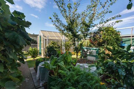 Photo of property in 2b Wybo Veldman Place, Whakatane, 3120