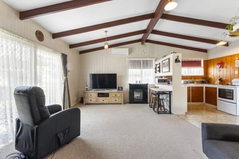 Photo of property in 17b Treadwell Street, Springvale, Whanganui, 4501