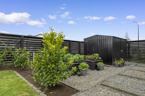 Photo of property in 15 Charlotte Drive, Omokoroa, 3114