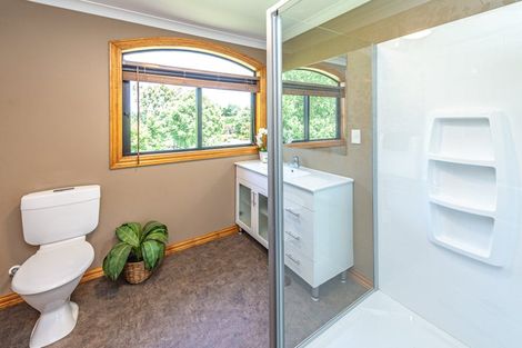 Photo of property in 456a Kaikokopu Road, Brunswick, Whanganui, 4571