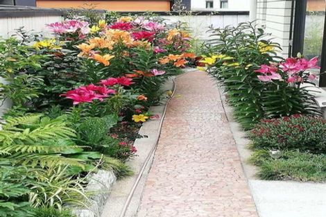 Photo of property in 8 Edwin Ebbett Place, Wigram, Christchurch, 8025