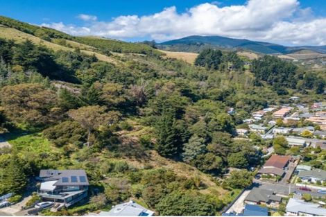 Photo of property in 101 Cambria Street, The Wood, Nelson, 7010